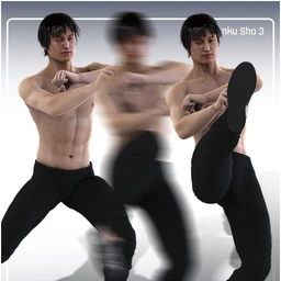 aniMate Martial Arts Combos