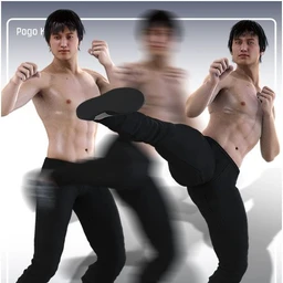 aniMate Martial Arts Kicks