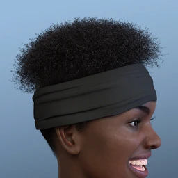 Artisan Hair for Genesis 8 Females