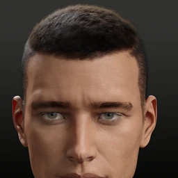 Bold Brows Fibermesh For Genesis 8 Males