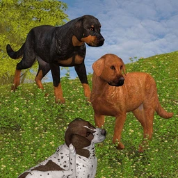 Coat Colors for the HiveWire Big Dog Set 2