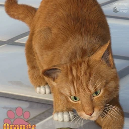 CWRW Orange Tabby for the HW House Cat