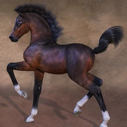 CWRW Pose Pack for the HiveWire Foal