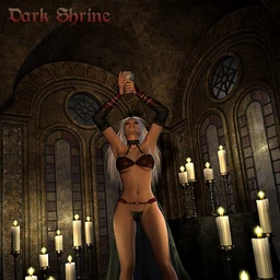 DMs Dark Shrine