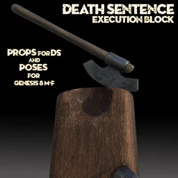 Execution Block For DS