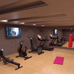 Home Gym