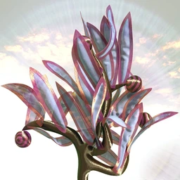 Jepe’s WonderPlant CF