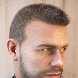 LI Crew Cut Hair for Genesis 8 Male(s)