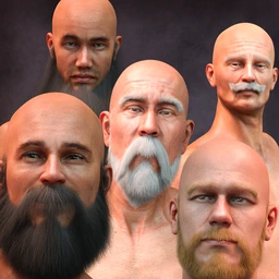 Long and Full Beards Set Hair for Genesis 8 Male