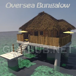 Oversea Bungalow