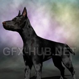 Real Fur for the Millennium Dog