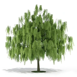 树模型,各种树模型合集,共20个