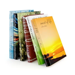 书籍模型合集,书本,丛书,厚书,薄书,书架,杂志,报纸,世界名著等模型25个