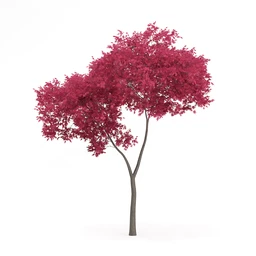 树木模型合集,各类树木模型共32个