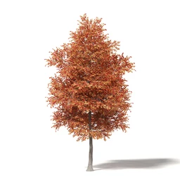 秋天树木模型合集,秋季树木,黄叶,各种秋天的树木模型共47个