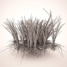 芦苇模型,max,obj,fbx格式