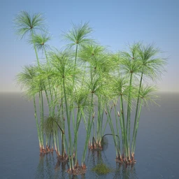 莎草模型,草模型,fbx,obj,max格式