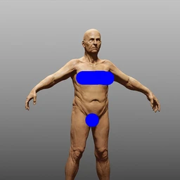 人类模型,各种年龄人体模型,各种体形,高矮肥瘦人物模型