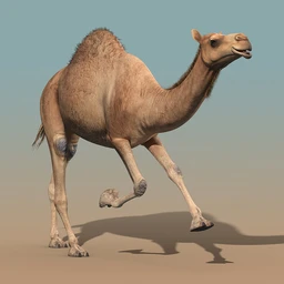 骆驼模型,沙漠骆驼模型,带绑定动画骆驼模型