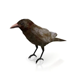 动物模型,狗,牛,兔子,鸟,马,飞龙,蜻蜓,狮子,蝴蝶,猪模型合集