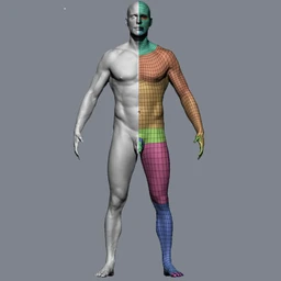 高精度男人模型,obj,ztl格式