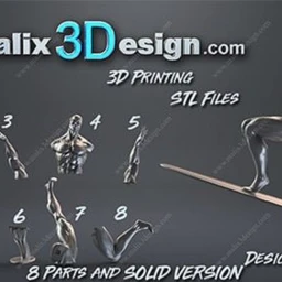 银影侠3D打印模型