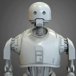 《侠盗一号：星球大战外传》K-2SO-3D打印模型