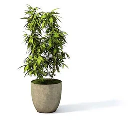 盆栽模型,盆景模型,花卉模型,植物模型合集共63个