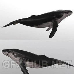 恐龙,鲨鱼,狮子石像,蝙蝠,鲸鱼,怪物模型