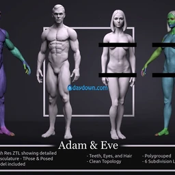 高精度男人女人模型