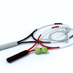 棒球棍,棒球,网球拍,网球,拉力器,扩胸器,跳绳,模型合集