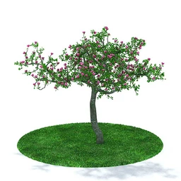 松树,橡树,柳树,红花檵木,红康乃馨,红玫瑰,紫荆树,桃树,模型合集