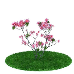 园林景观模型,造型植物模型,玫瑰模型