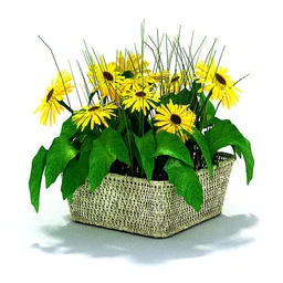 盘景模型,盘栽模型,花盘模型合集共22个