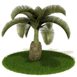 柏树,蓬莱松,灯树,紫矿,扁桃树,酒瓶椰子树,棕树,欧洲矮棕,树模型合集