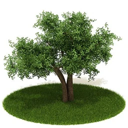 松树,榕树,白发藓,枫树,柏树,武竹,杉树,无茎刺葵,植物,树模型合集