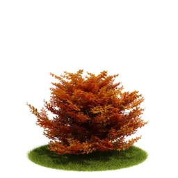 植物模型,园林模型,景观模型,树模型,灌木模型共60个