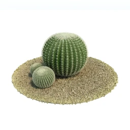 金琥,仙人球模型,鹿角柱,小檗属,无花果,油橄榄,橙树,黄花风铃木,植物模型合集