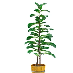 花草树模型,盆栽模型,盆景模型,花瓶,花盆,植物模型共65个