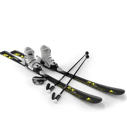 轮滑鞋,轮滑护具,护膝,护肘,护手,滑板,滑板车,滑雪单板,滑雪双板,雪橇,滑雪鞋,雪杖,体育用品模型合集