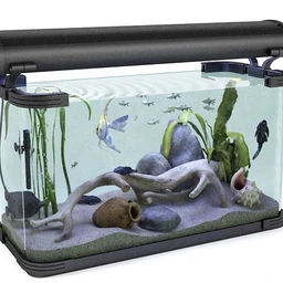 金鱼,鱼缸,热带鱼,蓑鲉,观赏鱼,珊瑚礁,海草,蜥蜴,马,白马,动物模型合集