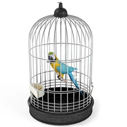 鸟笼,鸟,八哥,鹦鹉,鸽子,白鸽,海鸥,鹅,小鸭子,野鸭,绿头野鸭,动物模型合集