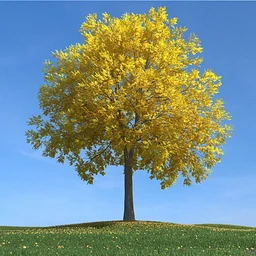 秋天树木模型,黄树叶,落叶,草地,秋天场景,秋季植物模型合集