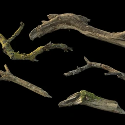 废木,木柴,腐朽的木头,断木,干木,枯木,烂木头,苔藓,青苔,树干,树枝,朽木,树叉,模型合集