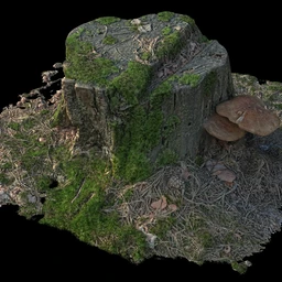 烂木头,烂树根,烂树头,烂树桩,腐朽的树桩,断木,苔藓,青苔,树菌,蘑菇,孢子,泥沙,模型合集