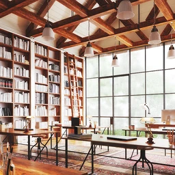 光亮透光的图书馆,阅读室场景,书籍,书架模型,3D模型