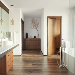 私人浴室场景,玻璃镜子,衣柜,毛巾,3D模型